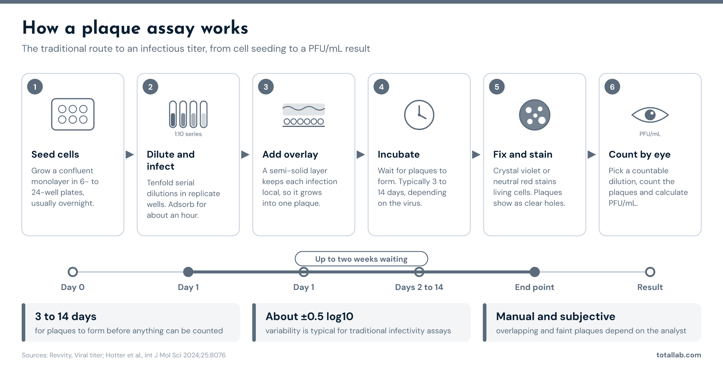 Six-step plaque assay workflow: seed cells on day 0, dilute and infect and add overlay on day 1, incubate 3 to 14 days, fix and stain, then count plaques by eye to calculate PFU/mL.
