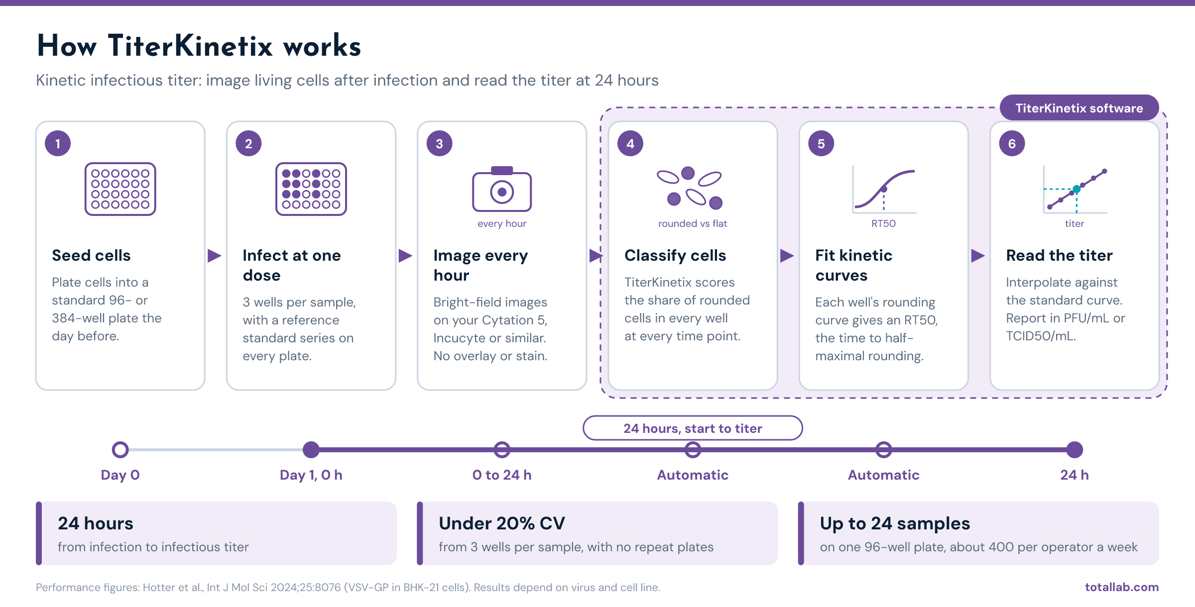 Six-step TiterKinetix workflow: seed cells, infect at one dose in triplicate with a reference standard, image every hour for 24 hours, then TiterKinetix classifies rounded cells, fits kinetic curves and reads the titer from the standard curve.