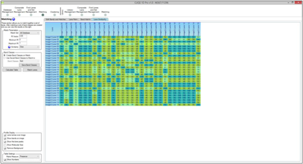 1D SDS-PAGE Band Similarity Matrix