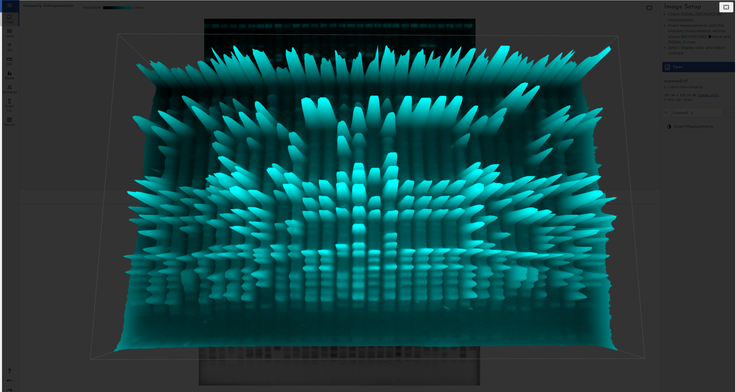 3D view of electrophoresis gel