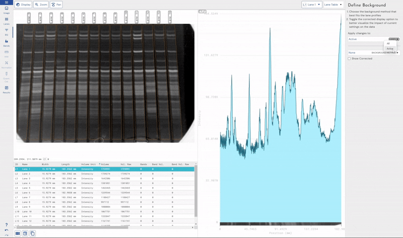 Phoretix 1D software demonstrating automated background subtraction in 1D SDS-PAGE gel image analysis, with visual comparison of lane profiles and intensity data for accurate protein quantification.