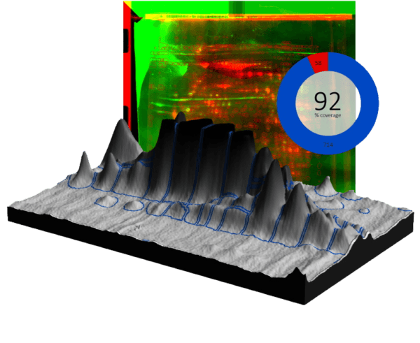 2D host cell protein analysis