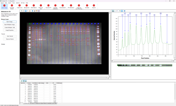 CLIQS automatic lane detection