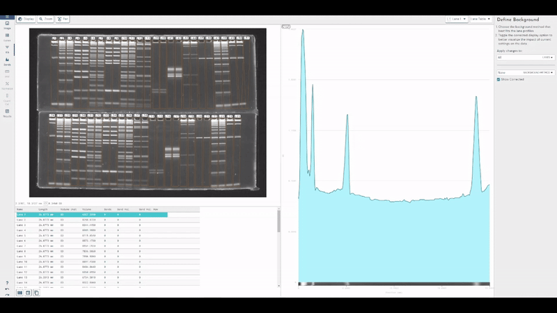 Western blot image analysis software