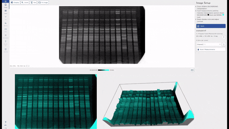 Gel and blot analysis software for life sciences