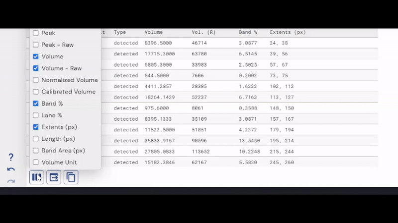 SDS-PAGE Western Blot Export to Excel/CSV