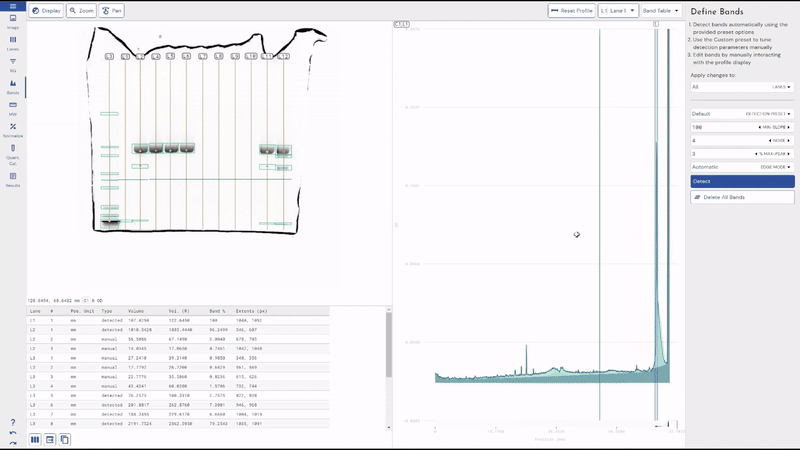 export SDS-PAGE presentation image