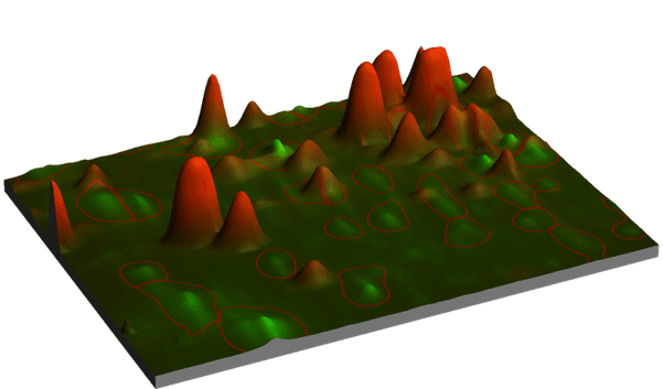 2D Western Blotting for HCPs