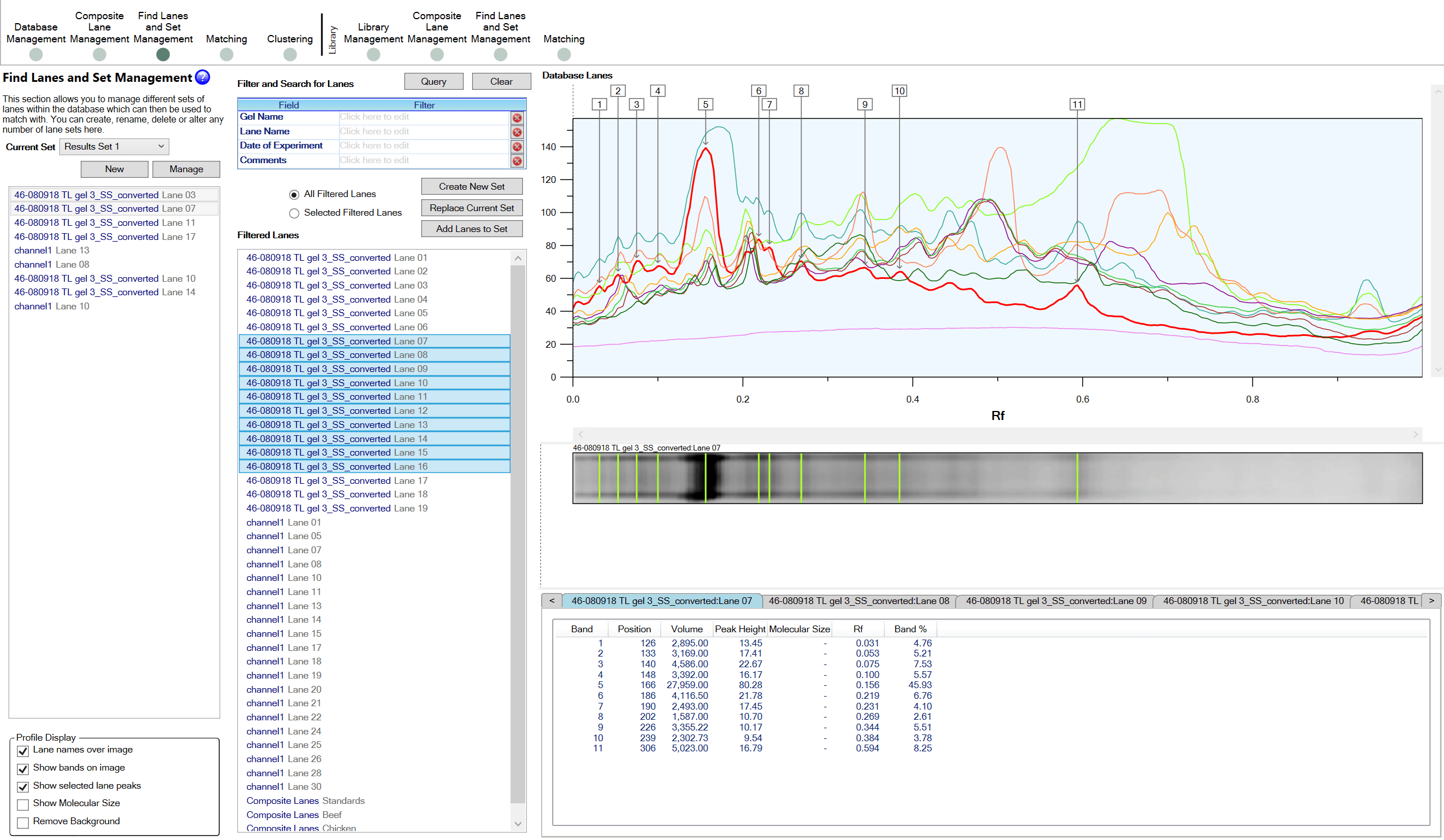 Graph depicting protein band intensities from gel electrophoresis results