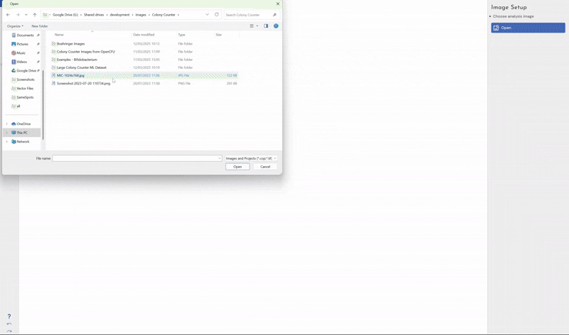 Automatic Colony Counter Software Phoretix Colony Counter