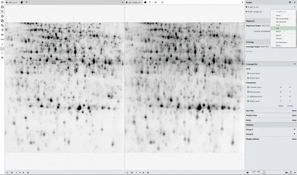 Phoretix 1D Image Editing