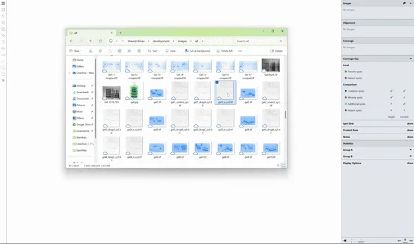 Phoretix 1D Image Import