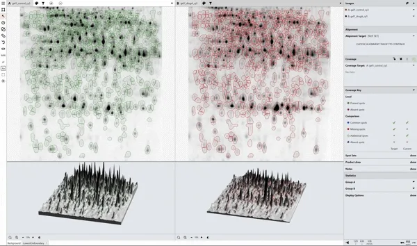 1D SDS-PAGE Molecular Weight Calculation