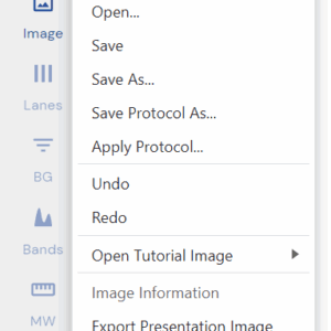 Phoretix 1D Help Menu