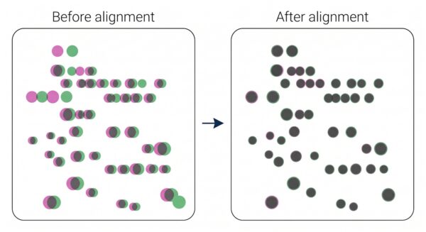 Two-color overlay of 2D gel images before and after alignment showing spots coinciding once aligned