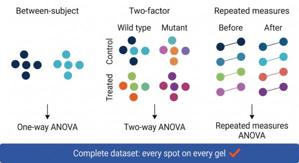 Three experimental designs for 2D gel studies mapped to one-way, two-way and repeated measures ANOVA