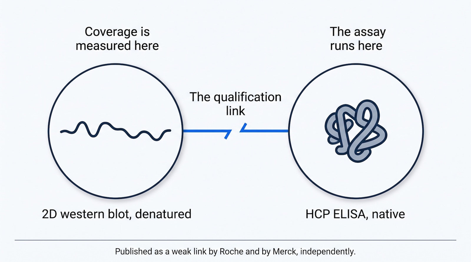 Diagram showing HCP coverage measured under denaturing conditions qualifying an ELISA that runs under native conditions